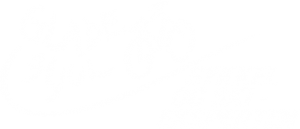 logo hvit