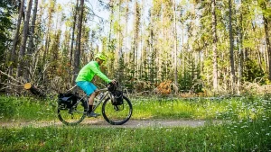 Alternative view of Trek 920 Ramme