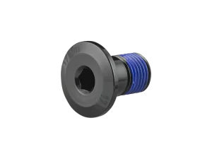 Trek 2021 Bolt M10x1x16 18.5mm Head