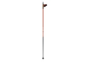 Alternative view of One Way Storm Pro Skistav