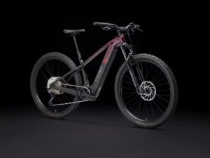 Alternative view of Trek Powerfly+ 6 Gen 5 Sunburst