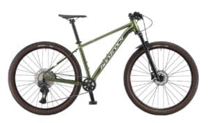 Hard Rocx Cambrium Di2